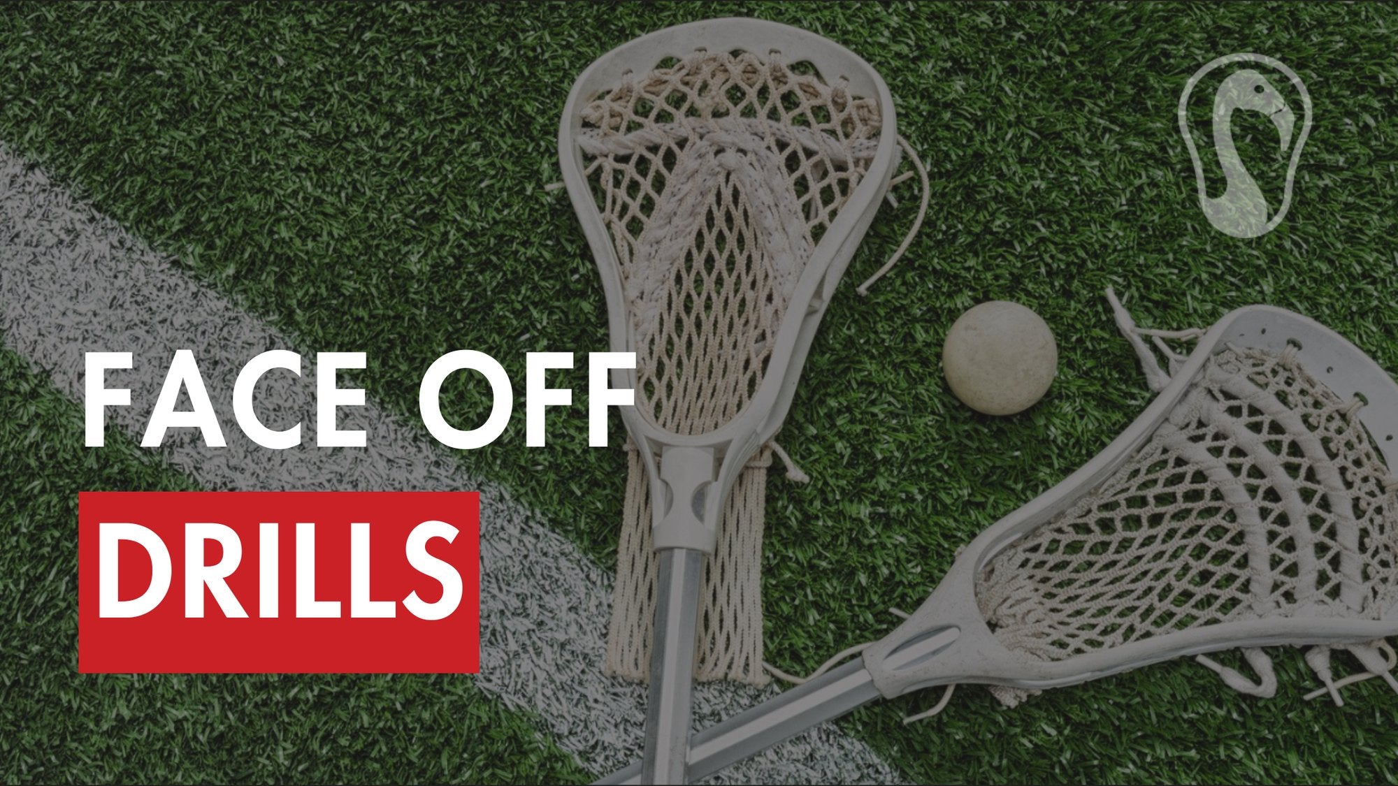 Mastering Lacrosse Face Off Drills – Signature Lacrosse
