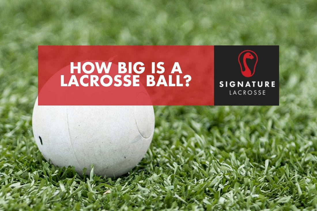 lacrosse ball size