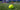 Signature’s Pro S1 Lacrosse Ball - A Better Ball Forward